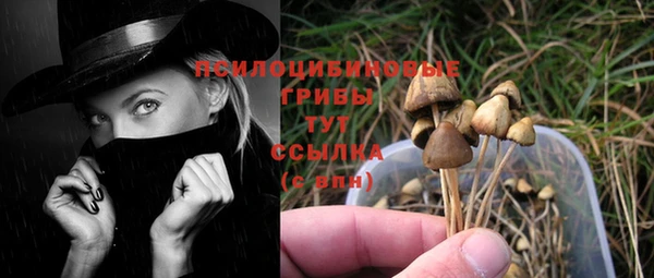 хмурый Баксан
