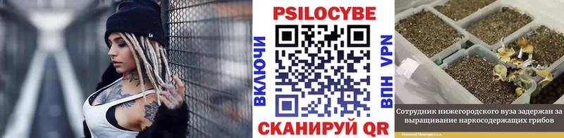 Псилоцибиновые грибы Psilocybe  Магадан 